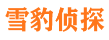 蔡甸婚外情调查取证